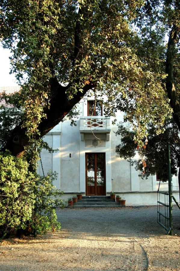 Casa Vina De Alcantara Jerez de la Frontera Dış mekan fotoğraf