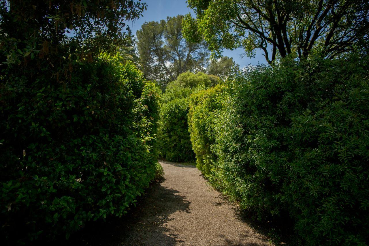 Casa Vina De Alcantara Jerez de la Frontera Dış mekan fotoğraf